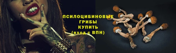 амф Абдулино