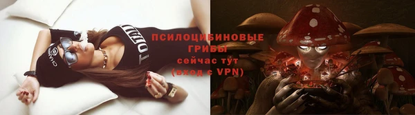 амф Абдулино