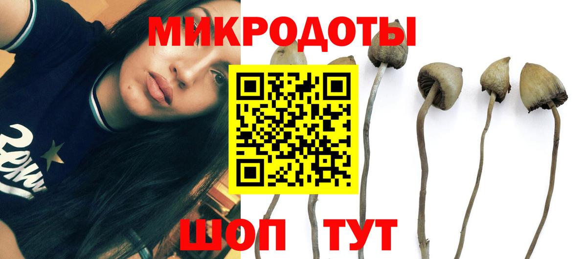 Кумертау  Галлюциногенные грибы ЛСД  Псилоцибиновые грибы мицелий  Вход с VPN 